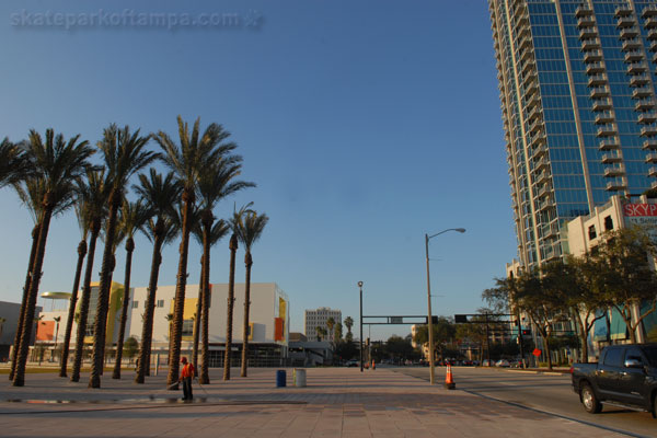 Curtis Hixon Park in Tampa - palm trees
