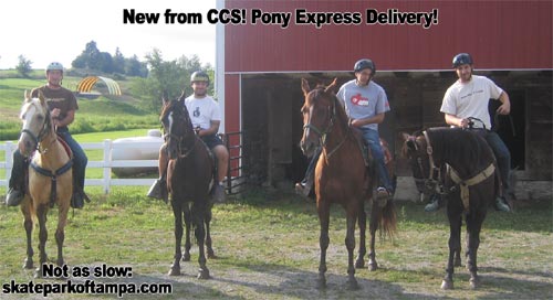 CCS Pony Express Not at Skatepark of Tampa